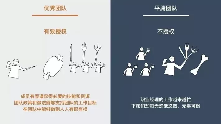 成为警长攻略：掌握主动权，高效投票与团队协作